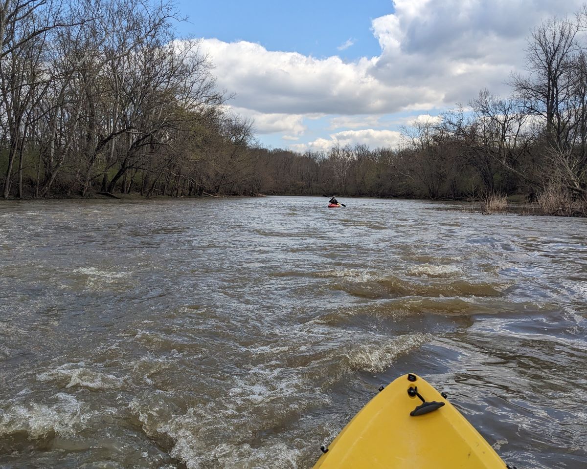 Kayakers paddling down the river